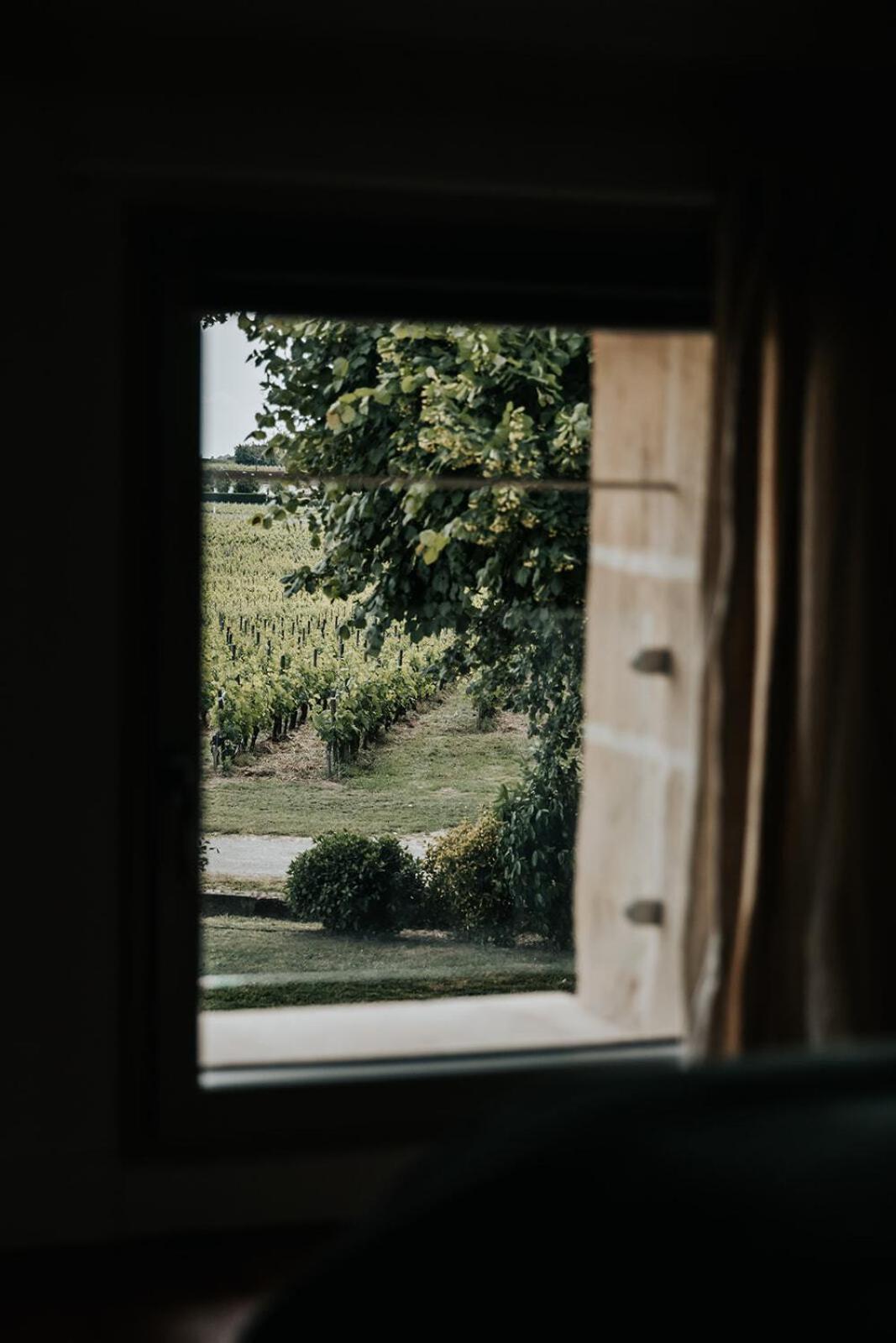 Chateau La Grande Clotte Lussac  Стая снимка