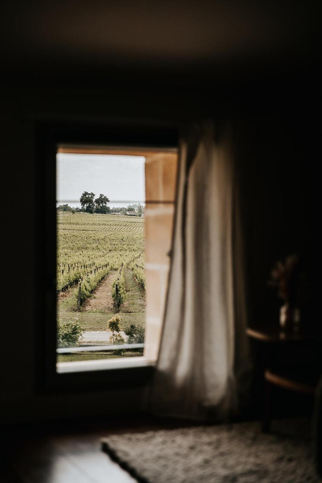 Chateau La Grande Clotte Lussac  Стая снимка